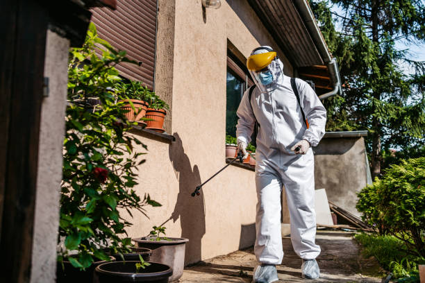 Best Affordable Pest Control Services  in Medford, NY