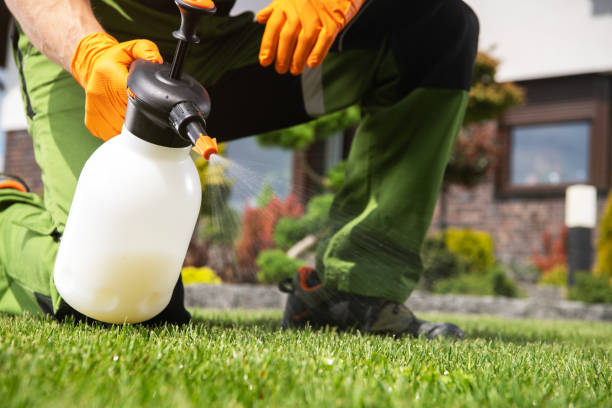 Best Termite Control Services  in Medford, NY