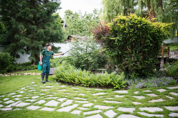 Best Commercial Pest Control Services  in Medford, NY