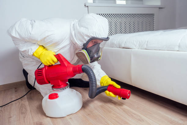 Trusted Medford, NY Pest Control Experts