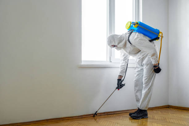 Best Flea Control Services  in Medford, NY
