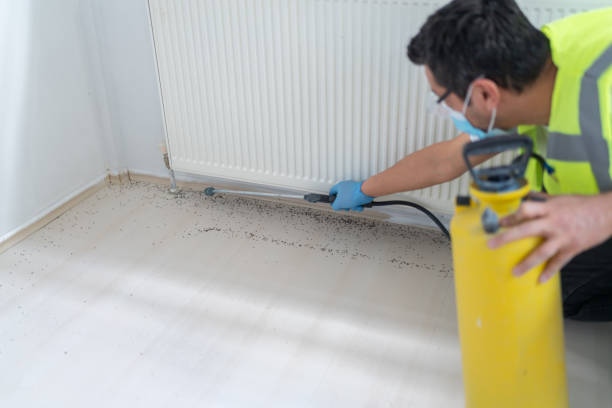 Best Pest Prevention Services  in Medford, NY